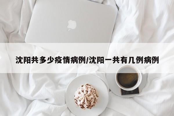 详解沈阳疫情:1传18是如何造成的?