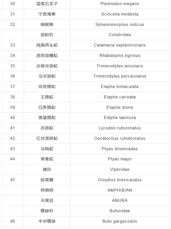 玩家科普“微信牛牛怎么开好友房间”详细创建房间方法