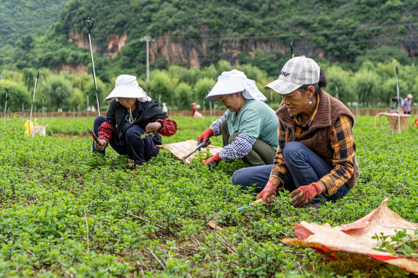 一分钟推荐“微信链接拼三张房卡充值教程”详细链接房卡获取