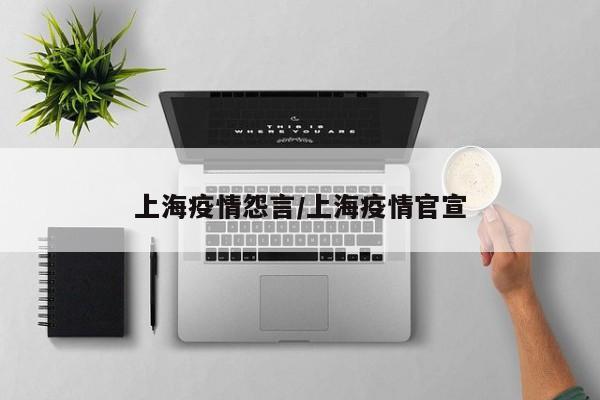 所有医护人员和民警采用逆行入园的方式，快速投入到紧张有序的核酸检测工作中，即使在这样的一个没有游客的日子里，上海迪士尼仍然像往常一样燃放烟花，而这样一场烟花秀，并不是送给游客，而是送给那些默默工作的逆行者。晚上8点不到，就有人做完了现场核酸检测。园内特别版烟火如约而至，逆行的医护人员和民警则在埋头工作。18时，迪士尼门口出现穿防护服的核酸检测人员园内广播里字正腔圆的男声告知游客#迪士尼烟花秀下的核酸检测#：应新冠检测需求，目前迪士尼在园人员按序做核酸后方可离开。上海迪士尼度假区于2021年10月31日发布通知，即刻起停止游客进入，是因为收到了外省市协查通报，需要对2021年10月30日至10月31日期间进入上海迪士尼乐园和迪士尼小镇的相关人员以及相关场所进行连夜排查，并落实相应的防控管理措施。这次的核酸检测十分的浪漫上海迪士尼乐园也考虑到这么多游客在这里核酸检测的时候非常焦虑，所以在检测的过程中，直接给他们放了一个烟花表演，让很多人在排队等待检测的同时可以观看烟花表演。很多人在采访中也表示，这是他们做过的最浪漫的核酸检测了。发现了确诊者之后，医护人员在很短的时间内，就对园区内的几万名游客都进行了核酸检测，目前这些游客的核酸检测结果都为阴性。目前上海已经恢复了正常的秩序 虽然上海迪士尼在出现了一名确诊者之后，使得上海人民内心非常的惶恐，大家都不敢擅自出去游玩了。上海迪士尼乐园和迪士尼小镇所有返岗的演职人员和第三方工作人员都已按照疫情防控的要求在48小时内完成两次核酸检测，结果均为阴性，并且将严格遵循全市疫情防控的自主健康监测要求。所有采集的环境样本均为阴性。